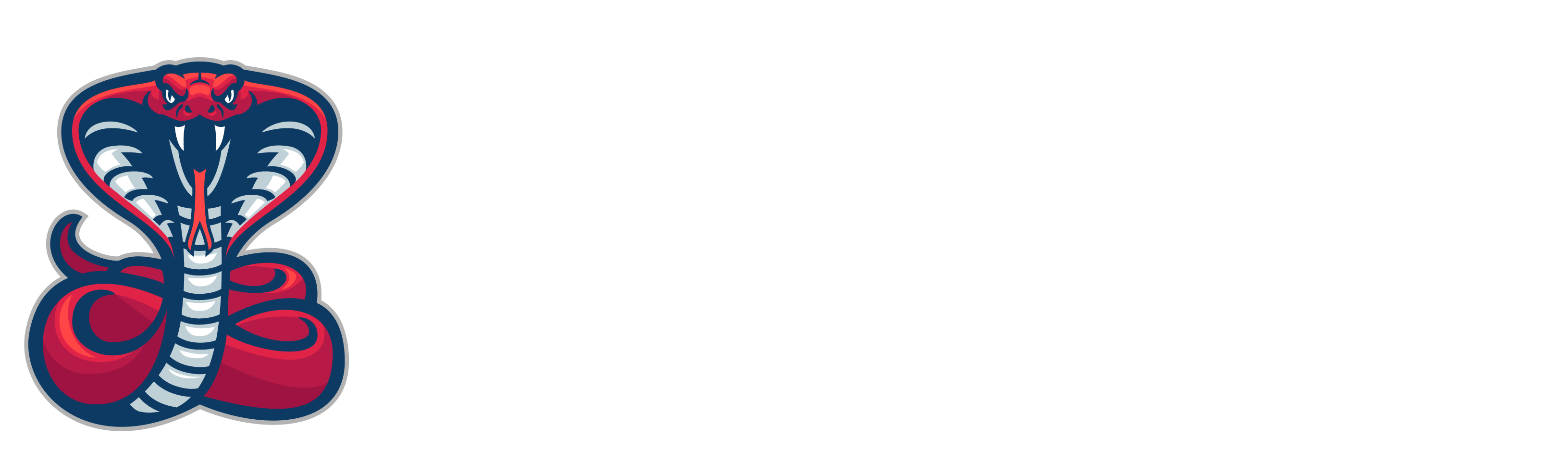 Cobra Epoxy and Flake Coatings